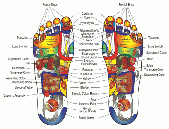 foot chart